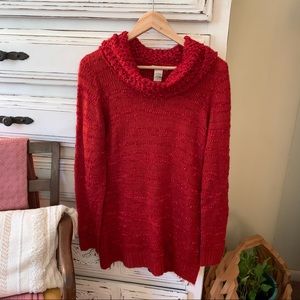NWT isela Sweater
